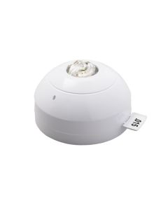 Apollo Addressable Cat W Loop Powered VAD
