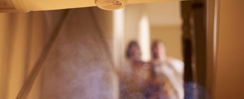 Domestic smoke and carbon monoxide alarms: proposals to extend regulations – Government response