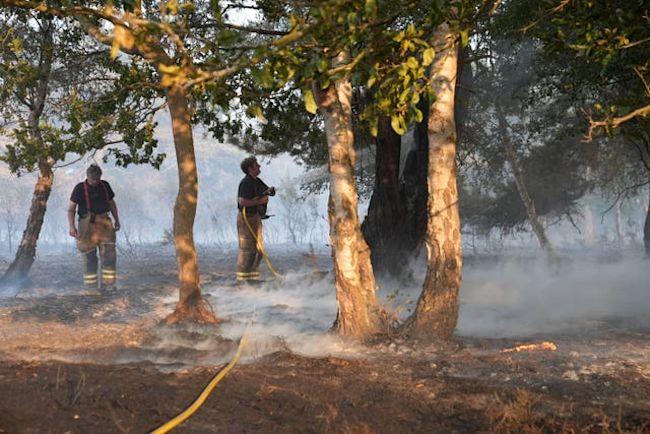 Suffolk Wildfire is a Wake-Up Call for Fire Safety Across the UK